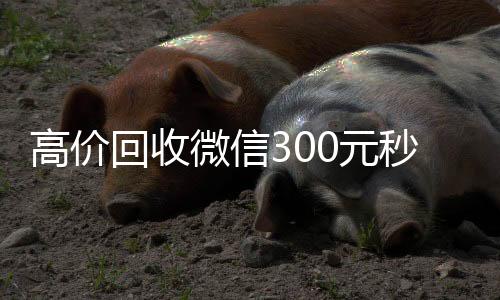 高价回收微信30个人回收vx秒结0元秒结（高价24小时回收微信）